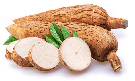 Cassava .